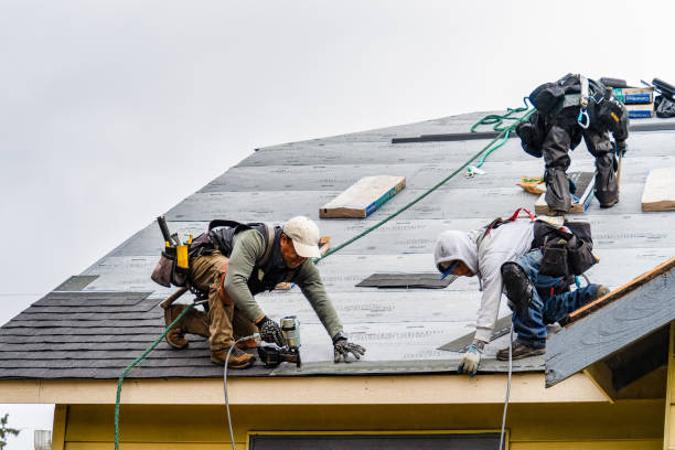 Professional Roof Installation technician working in Thompson, ND